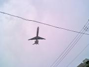 トリミング無しリサイズ