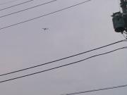 JCABのガルフストリーム