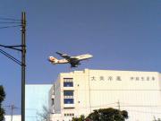 リゾッチャ、羽田にファイナル中