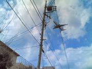 JAL B737-800 RWY16L APP