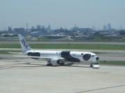 FLY!パンダ B767-300ER  Photo by にな@RJOO