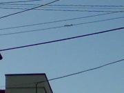 何だかわかりませんが（笑）正真正銘C-2   横田RWY36 APP