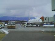 COA B737-800  Photo by M Micky