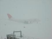 10:38 JAL502（JA8904）  Photo by Mr.aspheric