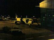 チャンギにいたANA FLY!パンダ  Photo by metro@WSSS