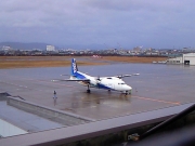 F50 Photo by 寝落ち＠はやてあね