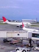 ジャンボ プッシュバック Photo by ニナ@ROAH