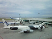 FLY!パンダ JA606A Photo by アフターバーナーM