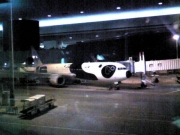 FLY!パンダ JA606A Photo by ニナ