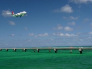 JAL B737-800 Photo by metro