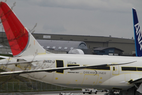B787(JA821J) Photo by Mr.H