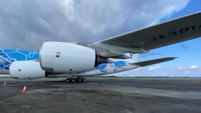 駐機場ANA A380の主翼