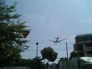 12:21:50 JAL B72 ムシキング