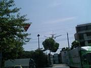 12:26:18 JAL B72 ムシキング