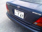 たまたま近くで見つけた747