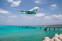 今年もこれが見られました