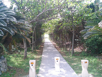 駐車場から通り池へ