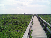 遠足を思い出すような風景