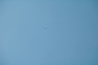 DASH8は今日も行く