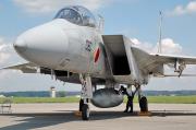 JASDF F-15DJ