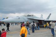 F/A-18F #113