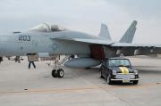 F/A-18E #203