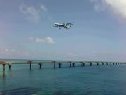 ANA DHC-8-400 Photo by metro@RORS