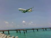 B37 RWY17APP  Photo by metro@RORS