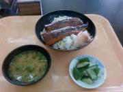 昼食うなぎ Photo by metro@さしば