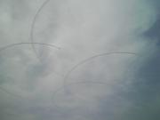 さくら  Photo by M Micky