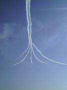 ブルーインパルス レインフォール  Photo by M Micky