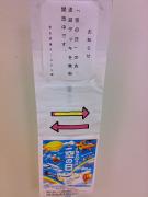 今回「空の日」唯一の恩恵