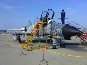 F-4戦競塗装（モノトーン