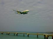 ANK B737-700（JA01AN）