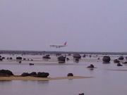 JAL B777-200 RWY17 APP  Photo by アフターバーナーM