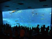 世界最大の水槽  Photo by Mr.aspheric