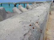 何故かRWY17ENDてんとう虫発生中  Photo by Mr.aspheric