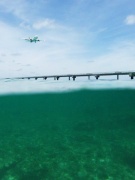 水中1  Photo by Mr.aspheric