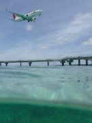 水中2  Photo by Mr.aspheric