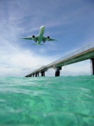 水中4  Photo by Mr.aspheric