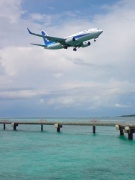 ANK B737-700（JA08AN）  Photo by M Micky