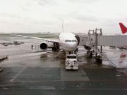 鶴丸@SPOT14  Photo by metro@RJTT