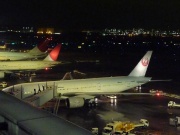 最後の鶴丸  Photo by Mr.aspheric