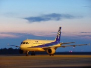 19:50 夕暮れとA320　　Photo by Mr.aspheric