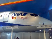 入口のB737  Photo by DJ SoundEdit