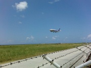 ANK B737-500  Photo by metro@RORS