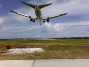 あんな画像  Photo by metro@RORS