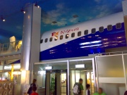 パネルからして本物のB737  Photo by DJ SoundEdit