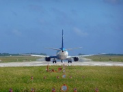 早速の今だけ画像  Photo by Mr.aspheric