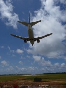 ANK B737-500 LLZ無し今だけ画像  Photo by Mr.aspheric